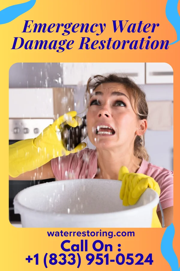 Emergency Water Damage Restoration in Havana, IL